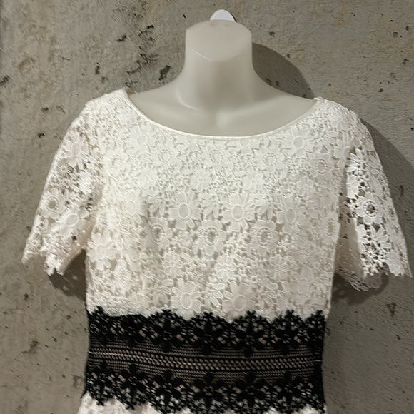 Anthropologie Shani White Lace Dress W/ Black Lace Accents Size - 6 - Picture 2 of 10